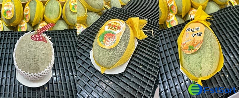 Cantaloupe weight grader.jpg Cantaloupe weight grader.jpg